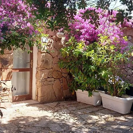 Domus 3*