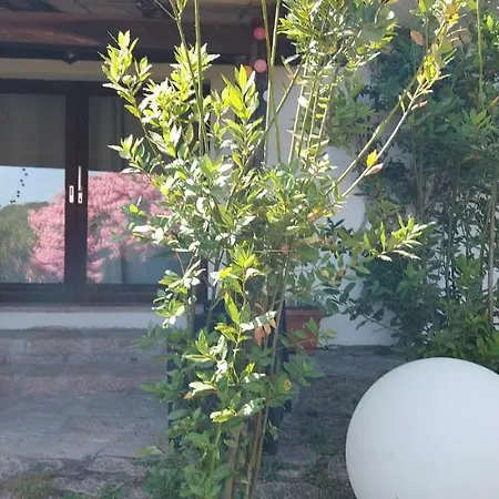Domus 4* Liscia di Vacca