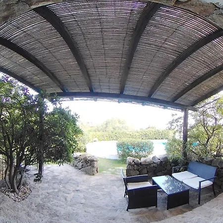 Domus