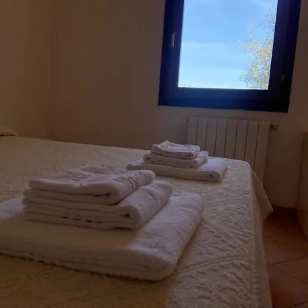 Domus