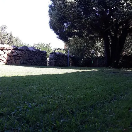 Domus