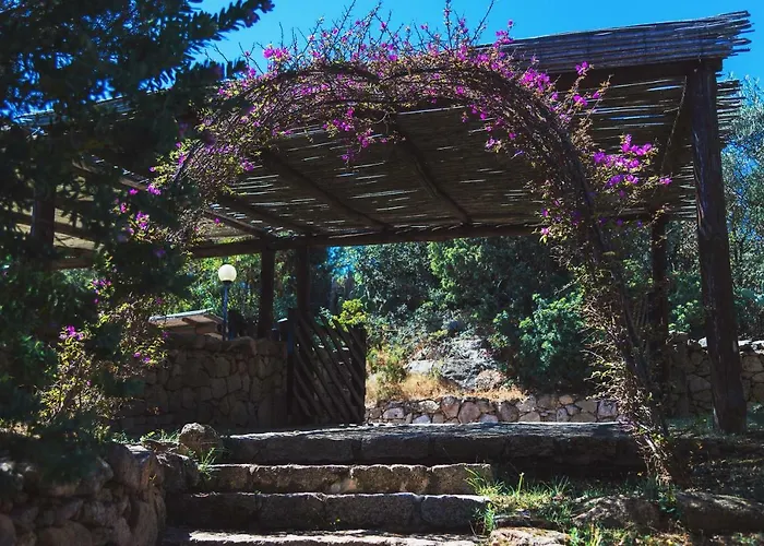 Domus Apartmanhotel Liscia di Vacca